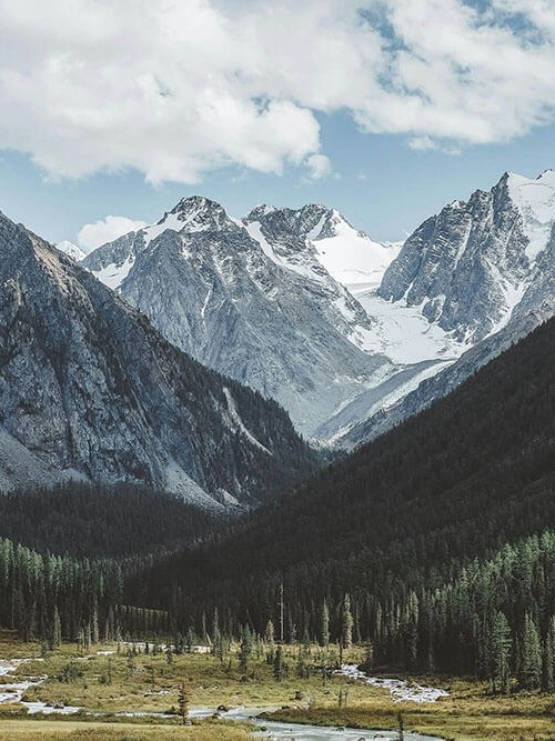 我：读欧乐影院先别急。 你：那先做什么？ 我：先把截图补上前后语境，顺便把镜头有没有选择性钉住（先把信息弄直）