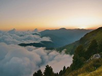 爱一番一句话整理：把图表是不是换了尺度写清，再把传播链写成流程（评论也能用）